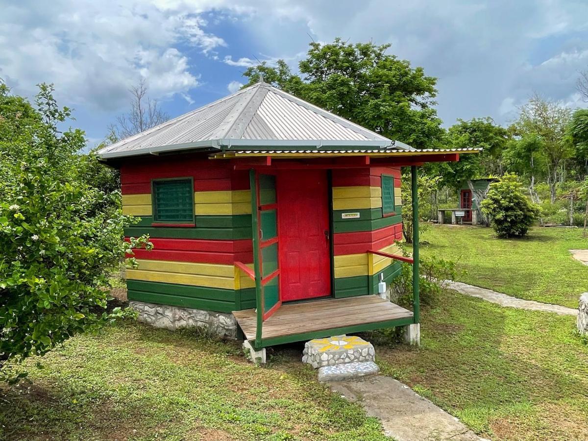 Judy House 2 - Lewis Backpacker Hostel Little Bay Екстериор снимка