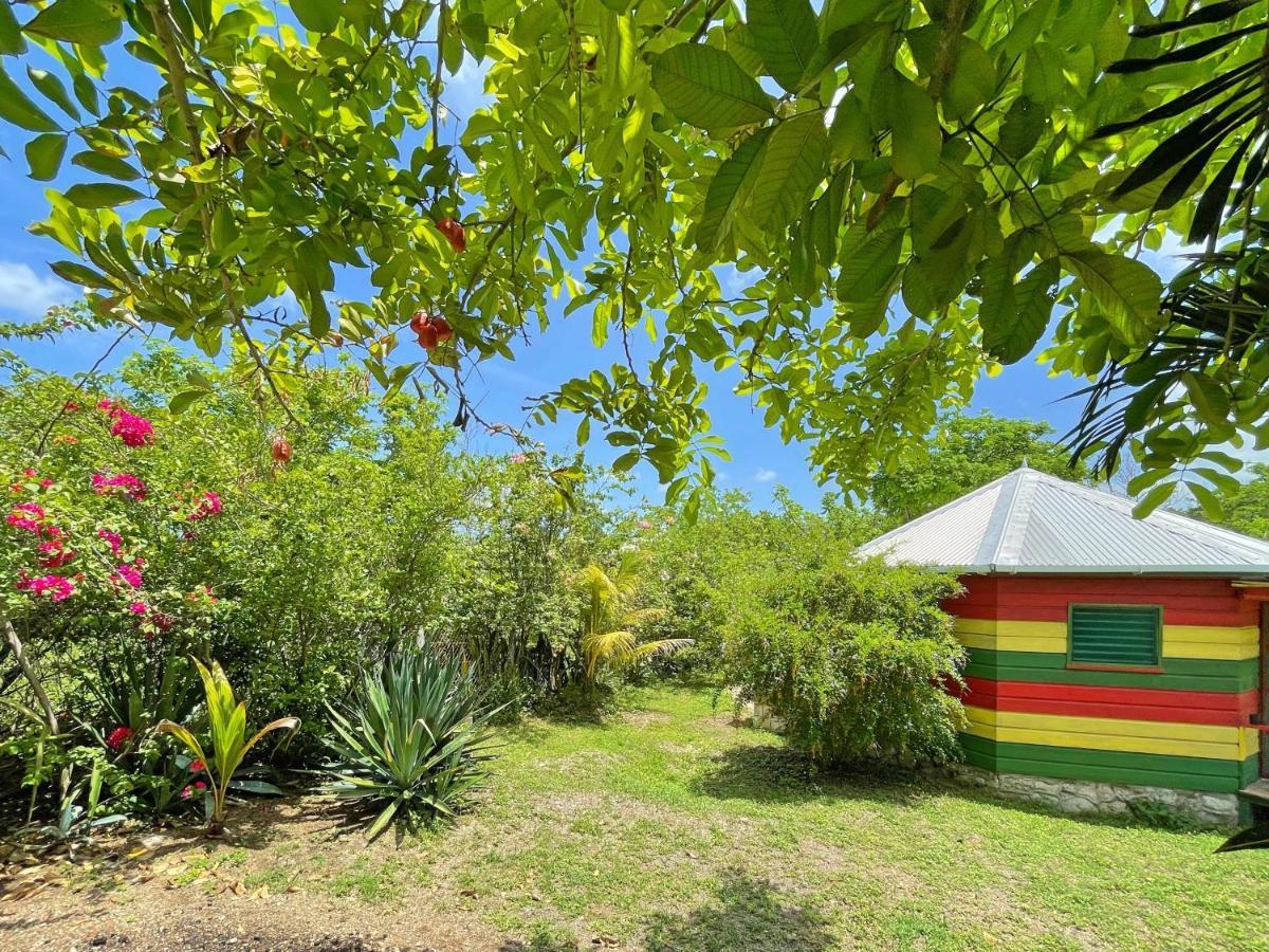 Judy House 2 - Lewis Backpacker Hostel Little Bay Стая снимка